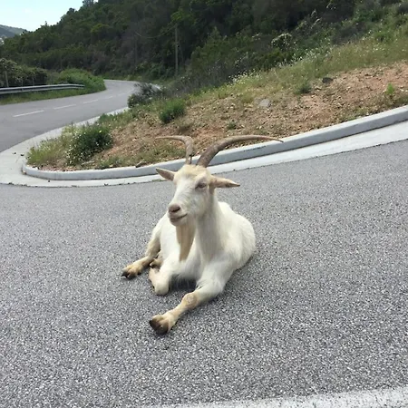 Kiara - By Foot Terrace Isolella - By Tgb Apartamento *