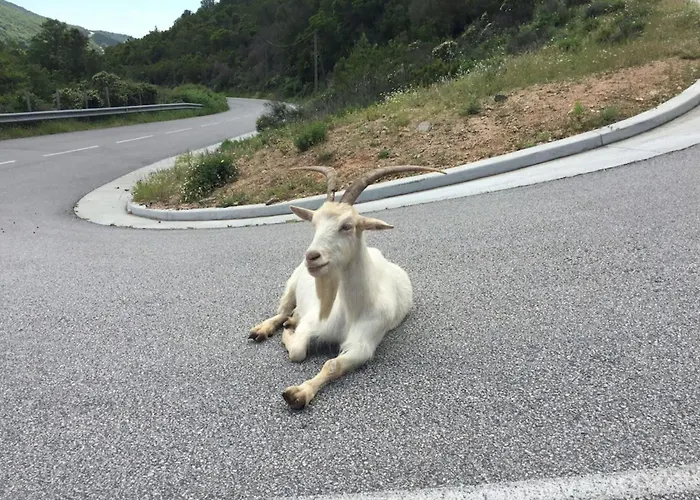 Kiara - By Foot Terrace Isolella - By Tgb דירה *